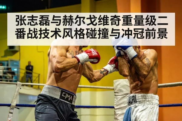 张志磊与赫尔戈维奇重量级二番战技术风格碰撞与冲冠前景